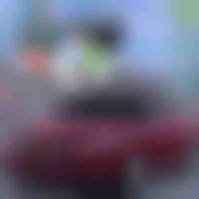 Najboljša poletna zaščita za avtomobile! | CARCOVER